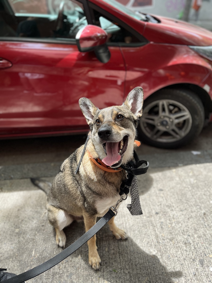 Max