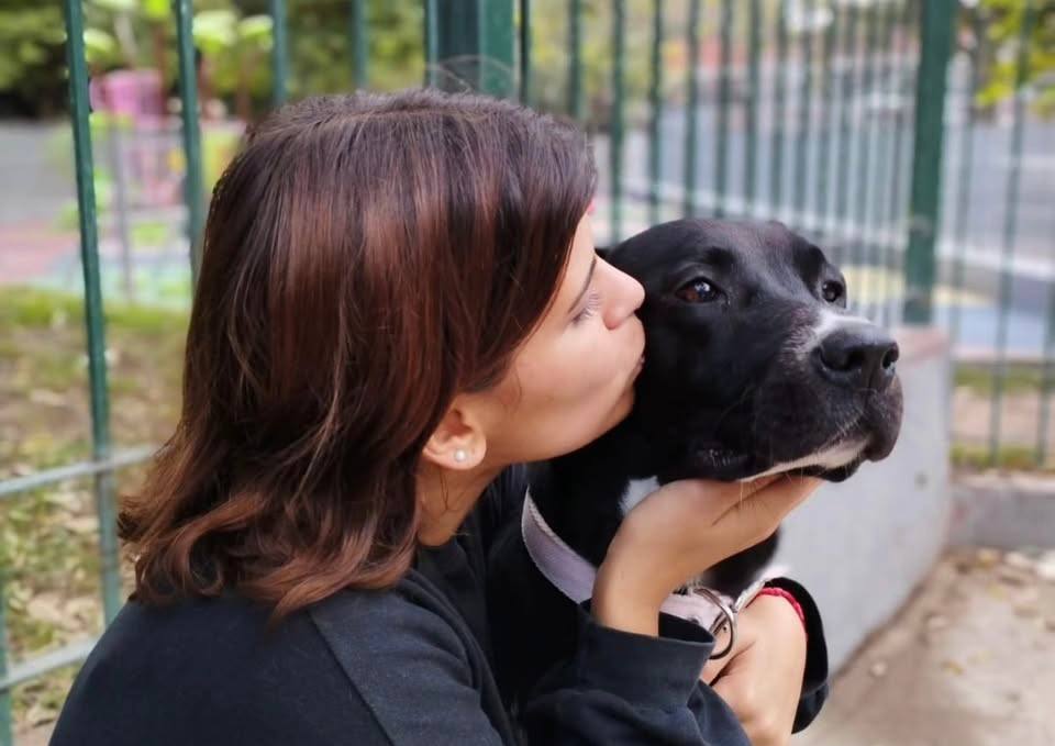 Belu con su perro